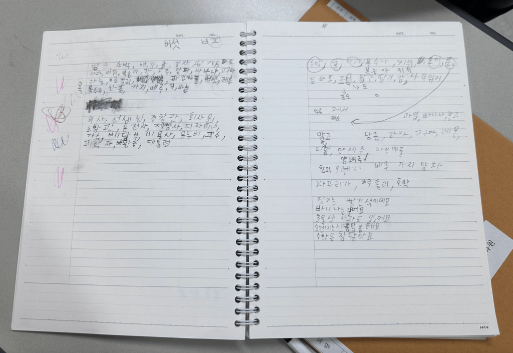Viktor’s Notebook Practicing Korean Writing (Hangeul)