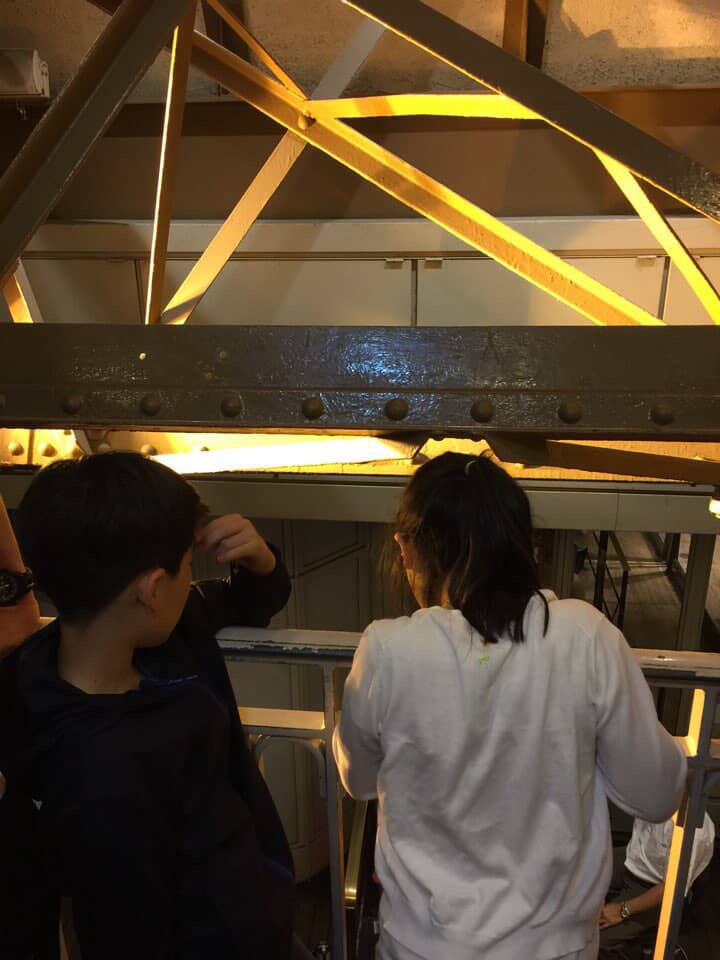 Journey from Hong Kong to Korea: Diane’s International School&nbsp;Experience